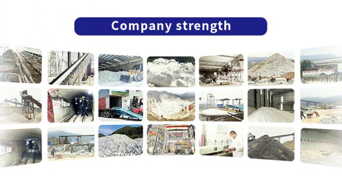 Guangdong XiMi New Material Technology Co., Ltd फैक्टरी यात्रा
